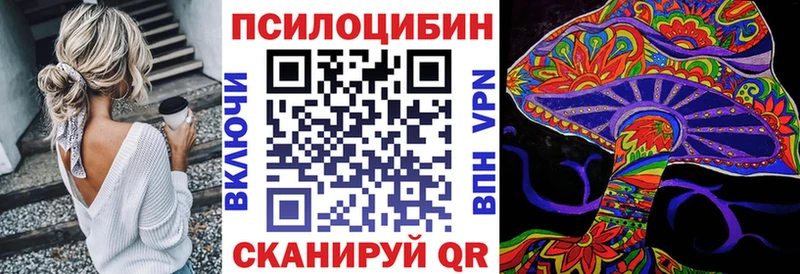 купить закладку  Шахунья  Псилоцибиновые грибы GOLDEN TEACHER 